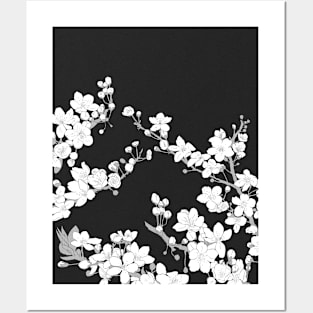Cherry Blossom Manga Art Posters and Art